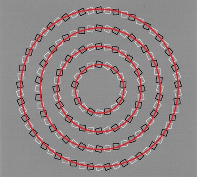 10052160-R3L8T8D-650-93a7e3e5af57dff90824c47be6b610e0_650x