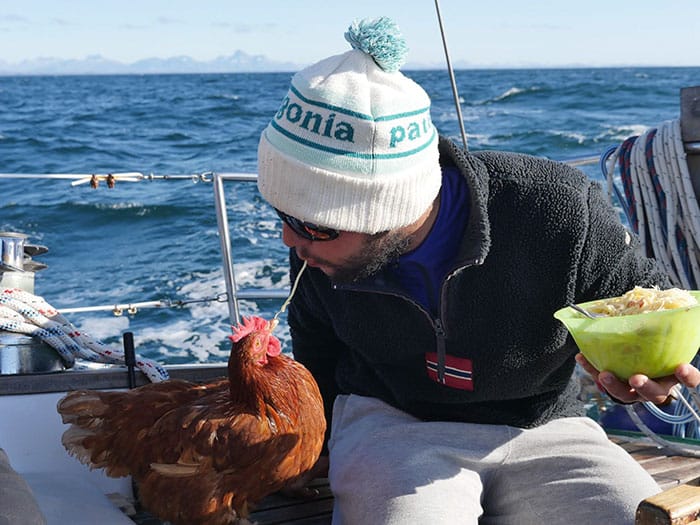 sailing-chicken-guy-monique-guirec-soudeel-18