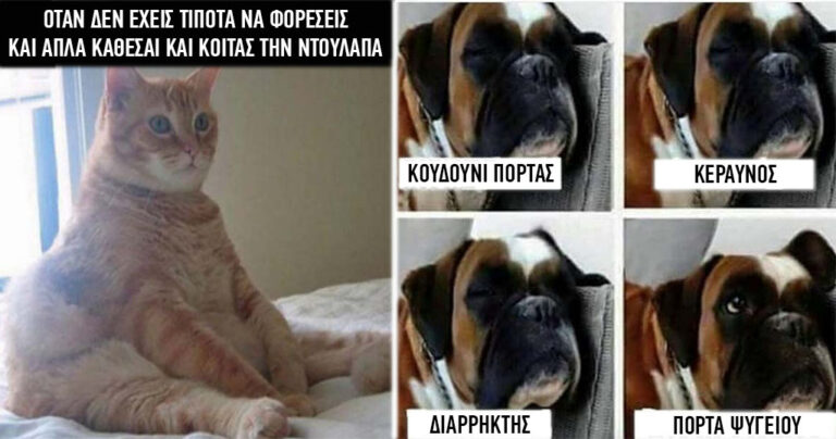 11 αστείες φωτογραφίες που θα σας φτιάξουν τη διάθεση