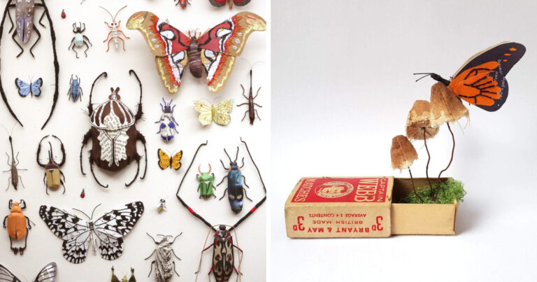 Δημιουργεί κοριούς, πεταλούδες και έντομα χρησιμοποιώντας ανακυκλωμένο χαρτί, σύρμα και νήμα.