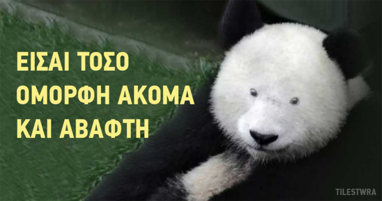 15 φράσεις που κάθε γυναίκα ονειρεύεται να ακούσει.