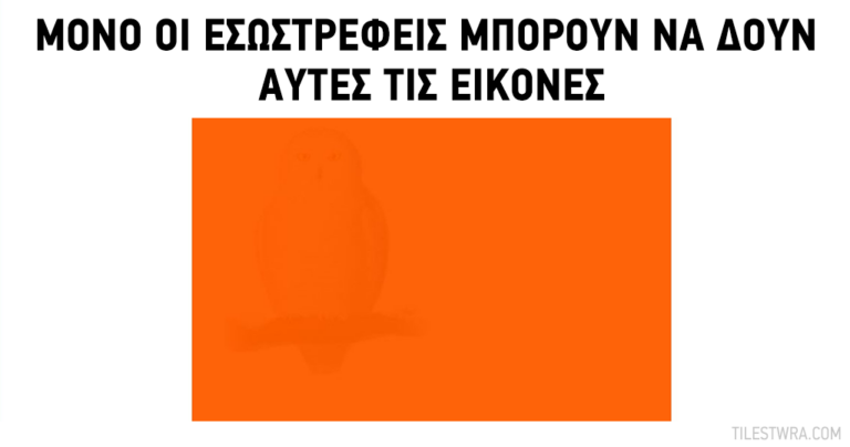 Μόνο οι εσωστρεφείς μπορούν να δουν αυτές τις εικόνες λόγω των μοναδικών ικανοτήτων τους.