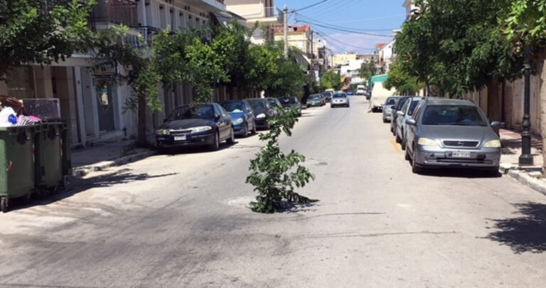 Φύτεψαν δέντρο σε λακούβα σε ελληνικό δρόμο για να μην πέφτουν μέσα τα αυτοκίνητα.