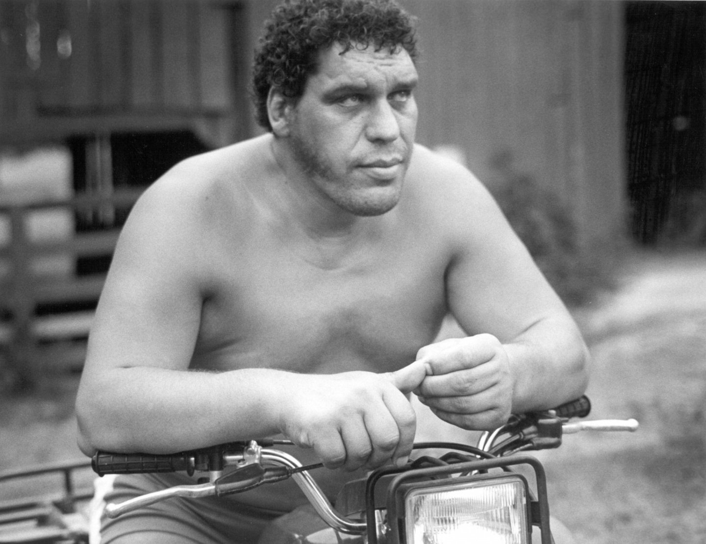 andre-the-giant-0c8abda3fedf72c8cf7d767f9fd5c642-large-779050