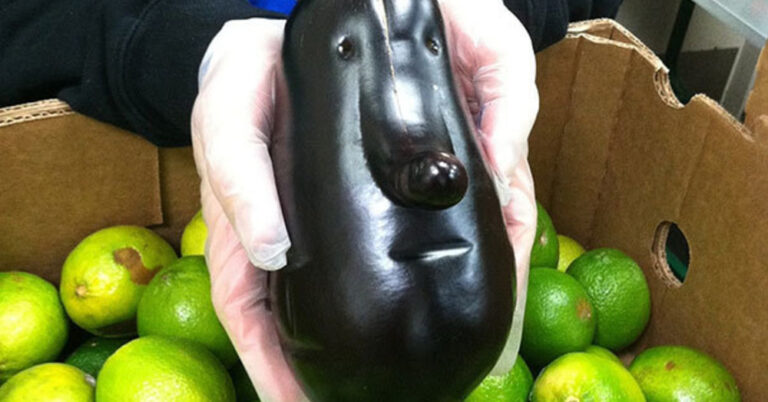 25 πράγματα που μοιάζουν πολύ ύποπτα με άλλα πράγματα.