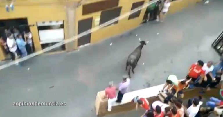 Μητέρα δυο παιδιών έχασε την ζωή της από ταύρο που κάρφωσε τα κέρατα του στα σπλάχνα της.