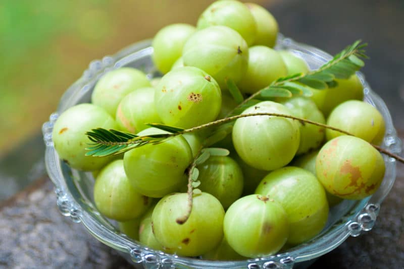 indian-gooseberry-e1467121209153