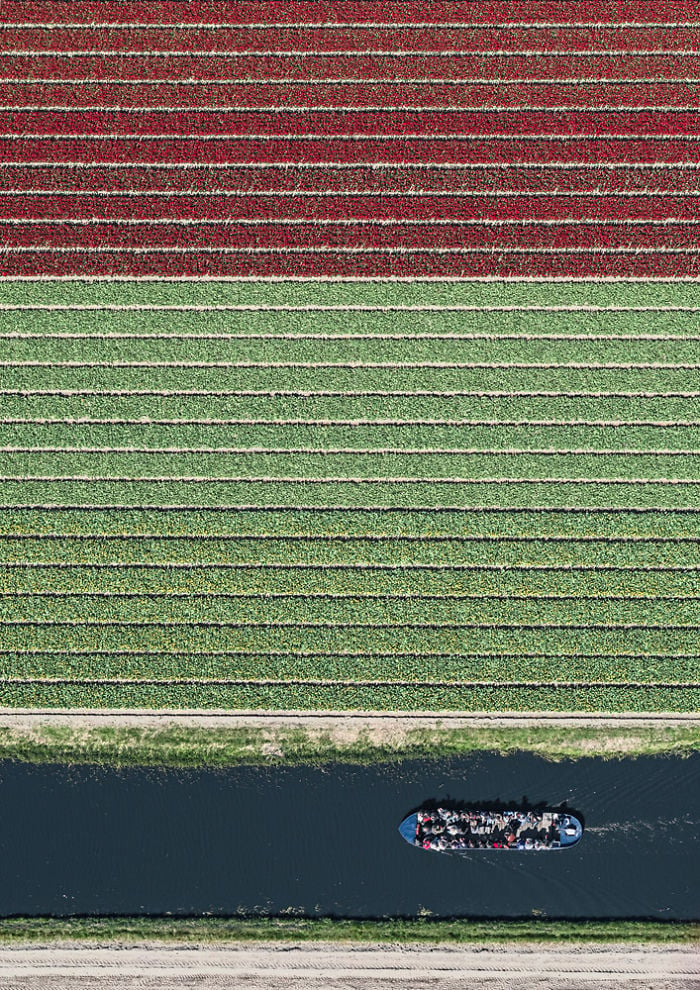 tulip-fields-aerial-photography-netherlands-bernhard-lang-5773d99b16610__700