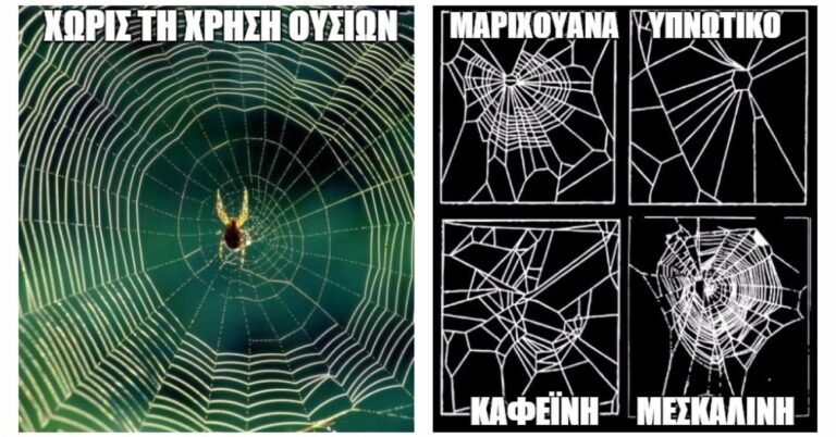 Πώς αλλάζει ο ιστός μιας αράχνης που βρίσκεται υπό την επήρεια ναρκωτικών;
