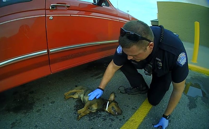 officer-hammond-and-dog