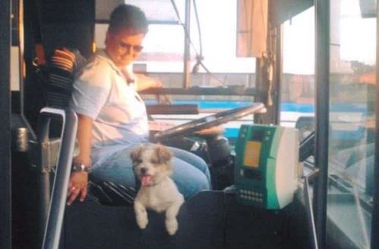 Γαρυφαλιά Ανδρουλάκη: Η οδηγός ΚΤΕΛ που δουλεύει παρέα με το σκυλάκι της