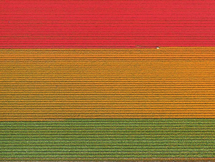 tulip-fields-aerial-photography-netherlands-bernhard-lang-5772774594c35__700