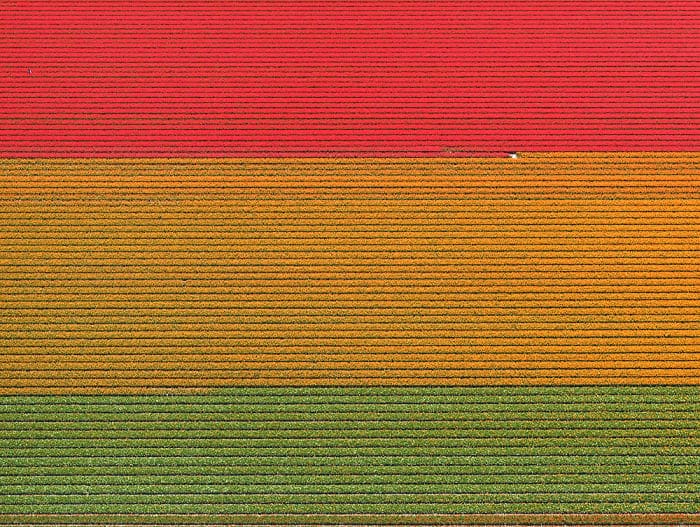 tulip-fields-aerial-photography-netherlands-bernhard-lang-5772774594c35__700