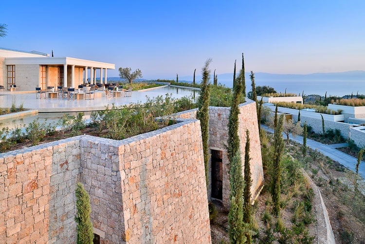 amanzoe-01