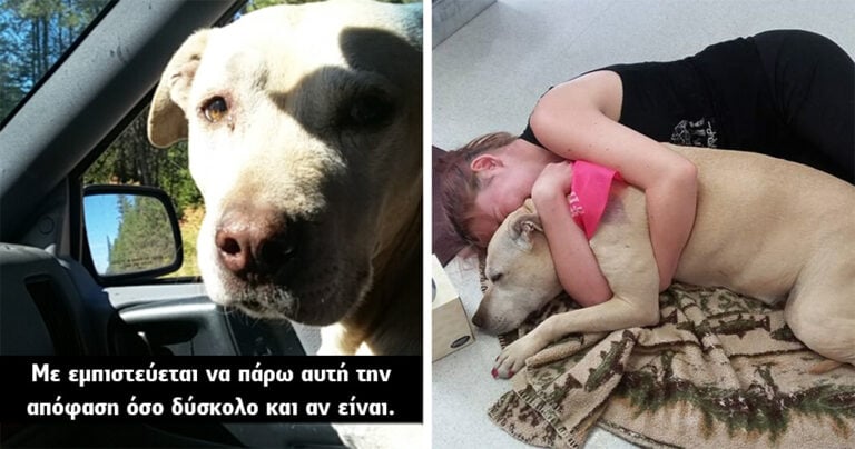 Φτιάχνει ένα αφιέρωμα για την τελευταία μέρα της σκυλίτσας της και θα σας κάνει να δακρύσετε.