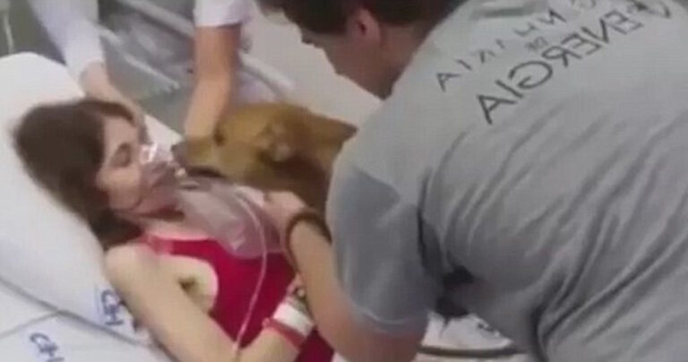 Άρρωστη μητέρα ζητά να δει για τελευταία φορά τον αγαπημένο της σκύλο