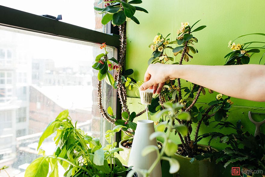 jungle-apartment-plants-summer-rayne-oakes-13