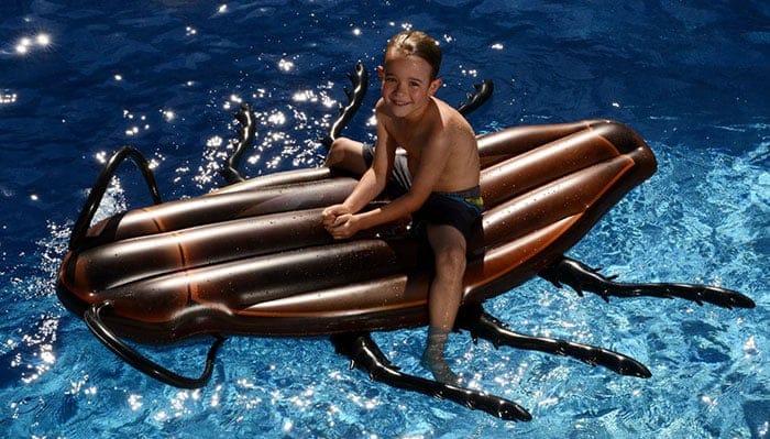 gigantic-cockroach-raft-inflatable-pool-float-kangaroo-9