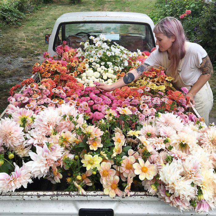 flower-farm-florist-instagram-floret-flower-erin-benzakein-16-57b4304be6ae9__700