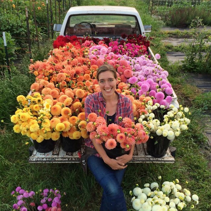 flower-farm-florist-instagram-floret-flower-erin-benzakein-19-57b43056366fa__700