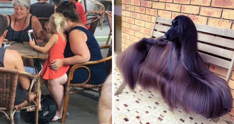 49 αξιοπερίεργες φωτογραφίες για να αρχίσει αυτή η σκληρή εβδομάδα ήρεμα και ωραία.