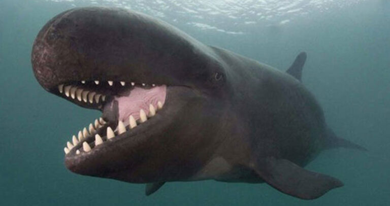 40 φωτογραφίες που λόγια δεν μπορούν να τις περιγράψουν.