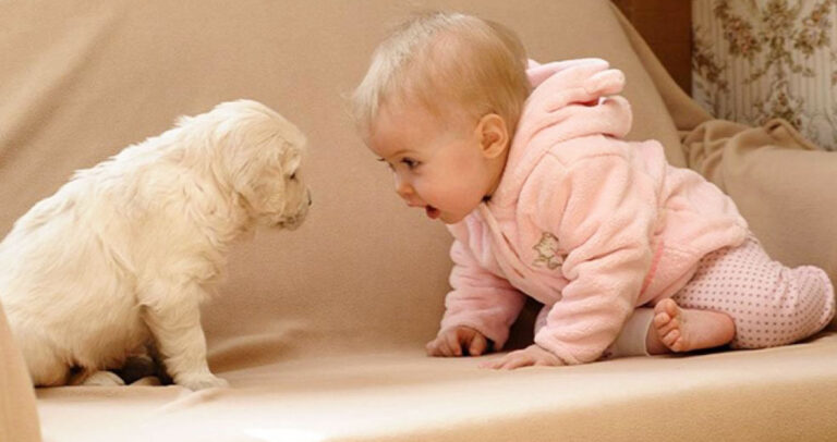 Γιατί γίνονται καλύτερα τα παιδιά που αγαπούν τα ζώα