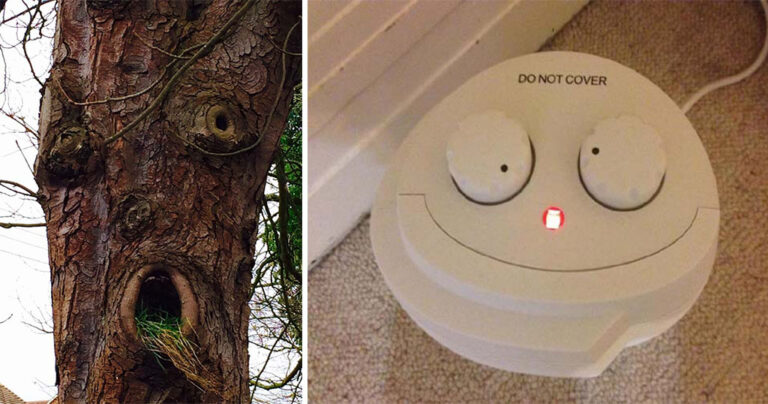 15 αστεία πρόσωπα που βρίσκει κανείς στα πιο παράξενα μέρη