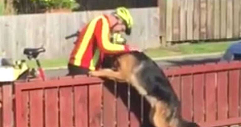 Ο ταχυδρόμος και αυτός ο “παρεξηγημένος” σκύλος μοιράζονται μια πολύ συγκινητική στιγμή.