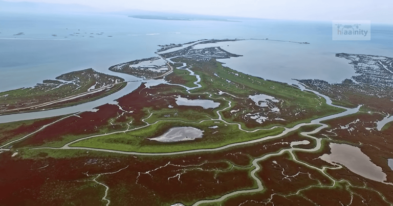 Μαγευτικές εικόνες από το Δέλτα του Αξιού μέσα από ένα εναέριο βίντεο.