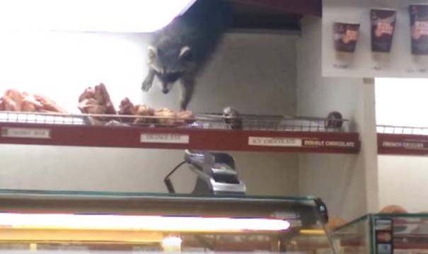 en-tw-metaksy-ston-kanada-125