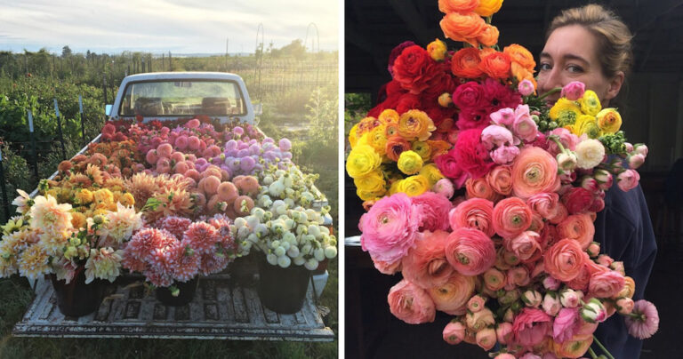 Αυτές οι φωτογραφίες αποδεικνύουν ότι η δουλειά του ανθοπώλη είναι ονειρική.