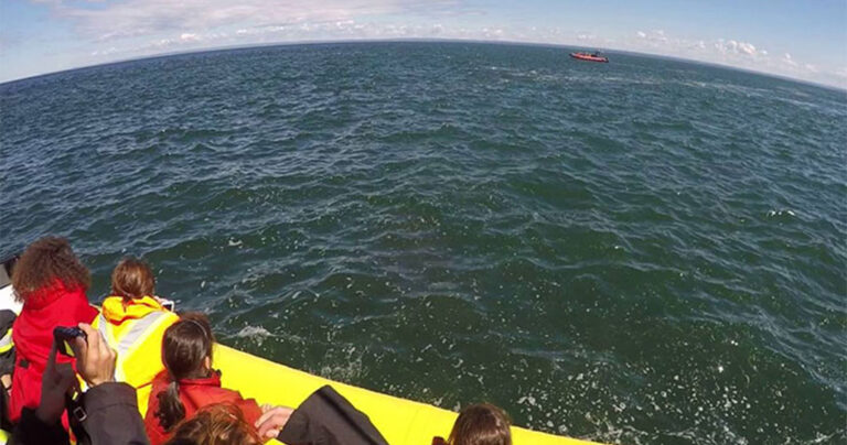 Τουριστικό σκάφος έρχεται σε στενή επαφή με γιγάντια φάλαινα