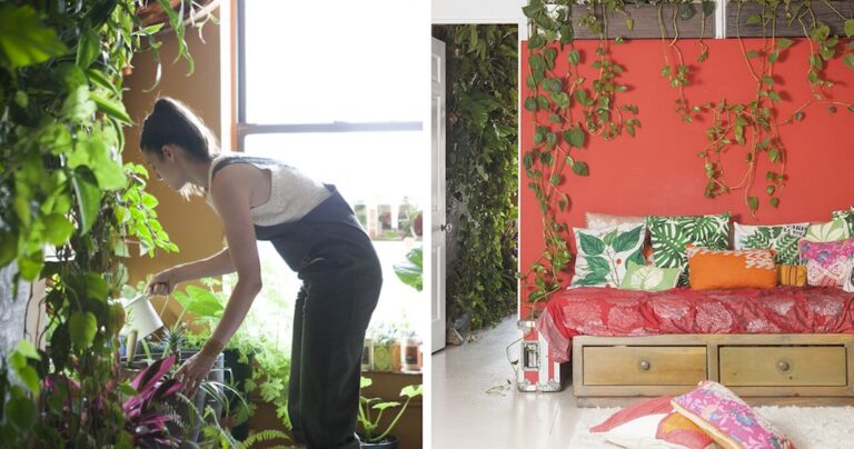 Μετέτρεψε το διαμέρισμά της στη Νέα Υόρκη σε μια αστική ζούγκλα