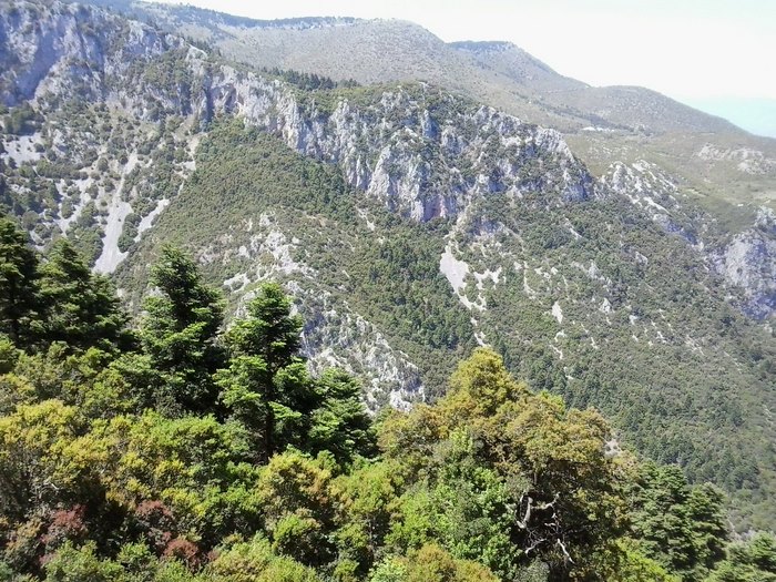 Στην Αμφίκλεια μέσα σε μια σπηλιά βρίσκεται χτισμένο ένα παμπάλαιο εκκλησάκι!