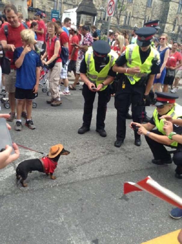 en-tw-metaksy-ston-kanada-128