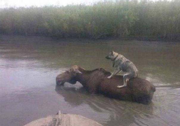 en-tw-metaksy-ston-kanada-131