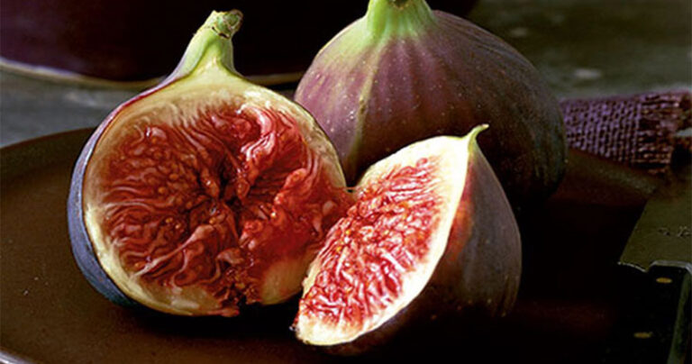 Υπάρχει μια φοβερή σχέση ανάμεσα στο σύκο και τις σφήκες που σίγουρα δεν γνωρίζατε