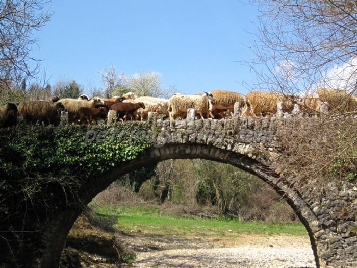  Τα 21 ωραιότερα γεφύρια της Ηπείρου που αντέχουν στο πέρασμα των χρόνων