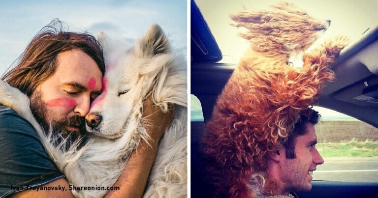 Είναι απίθανο να δείτε τις παρακάτω φωτογραφίες και να μην θελήσετε να αποκτήσετε έναν σκύλο.