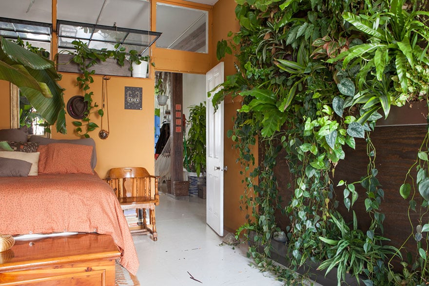 jungle-apartment-plants-summer-rayne-oakes-3