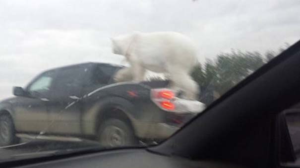 en-tw-metaksy-ston-kanada-122