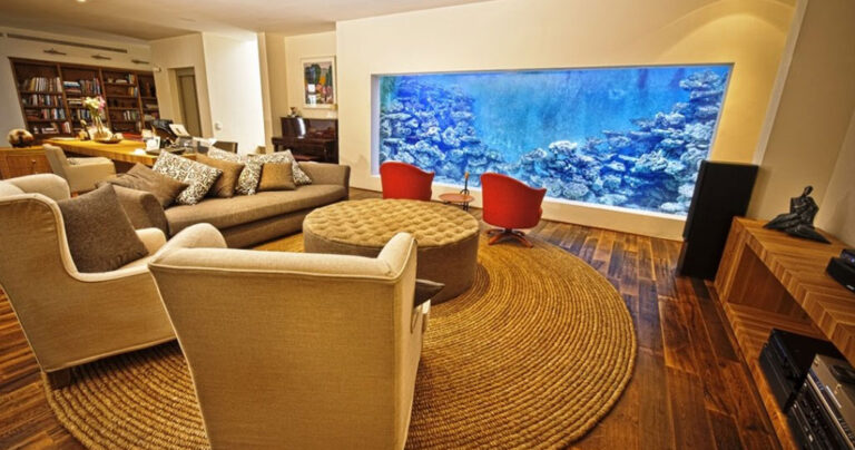 Έφτιαξε μόνος του ένα ενυδρείο 30.000 λίτρων στο σαλόνι του για να μπορεί να κολυμπάει με τα ψάρια.