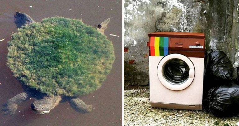 40 φωτογραφίες για να υποδεχτούμε τον Αύγουστο χαλαρά και όμορφα.