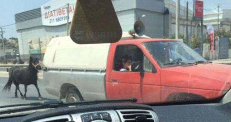 Απαράδεκτες εικόνες βασανισμού ζώου στη λεωφόρο Βάρης – Κορωπίου.