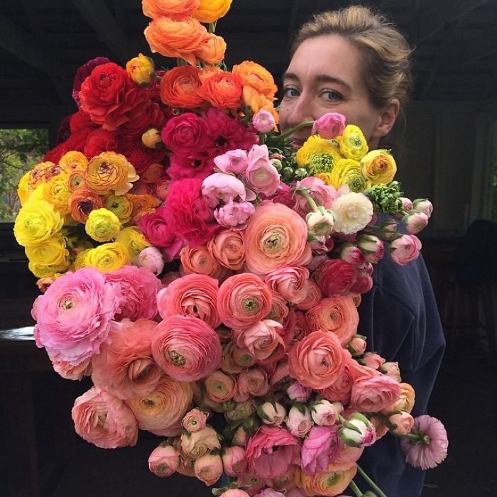 flower-farm-florist-instagram-floret-flower-erin-benzakein-3-57b43022b7ec6__700