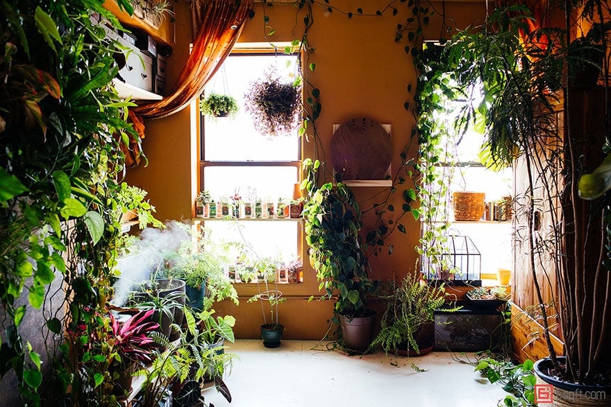 jungle-apartment-plants-summer-rayne-oakes-27