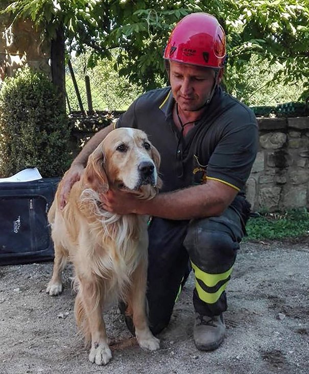 Σκύλος εντοπίστηκε ζωντανός κάτω από συντρίμμια 9 μέρες μετά τον σεισμό στην Ιταλία