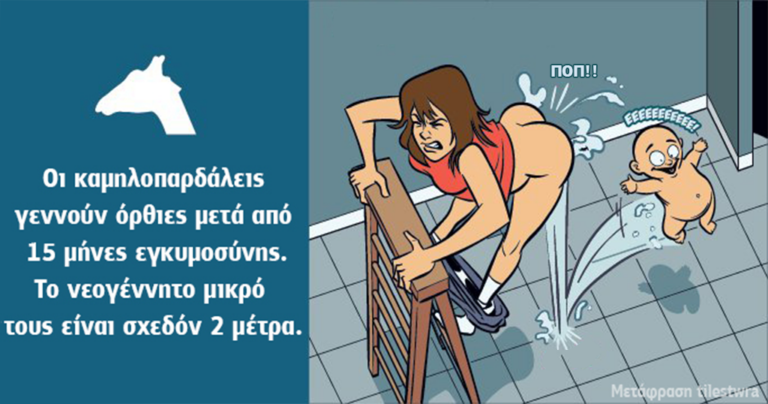 Αν οι άνθρωποι γεννούσαν τα μωρά τους όπως τα ζώα τα μικρά τους