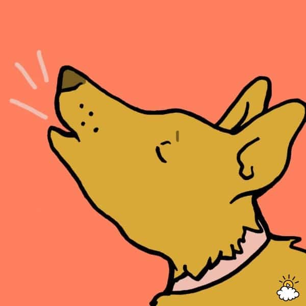 0c2698e694bdb00ab2f63dcd42118faa